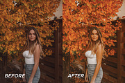 15 Pumpkin Lightroom Presets, a Preset Add-On by TheWayfarerShoppe (Thumbnail 8 of 8)