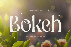 Bokeh - Luxury Logo Font