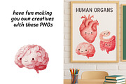 Kawaii Anatomy Clipart Bundle, an Education Illustration by InkyQueenArt (Thumbnail 3 of 5)