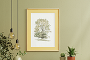 Vintage Tree Sketch Wall Art, a Decorative Illustration by Pink_bloom (Thumbnail 2 of 10)