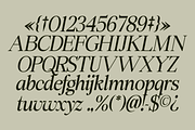 Swarsh Daisy - Elegant Serif Display, a Serif Font by Marvadesign (Thumbnail 7 of 8)