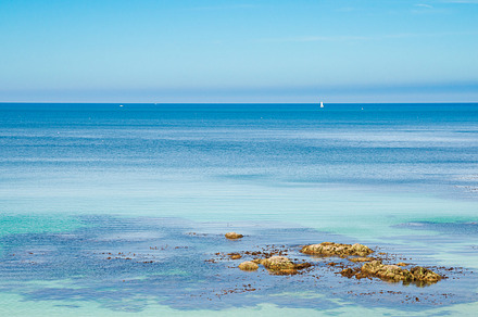 Caribean beach, a Nature Photo by Daniel Viñé Fotografía