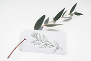 30 FineLine Flowers, an Illustration by Inkwell Supply Co (Thumbnail 5 of 15)