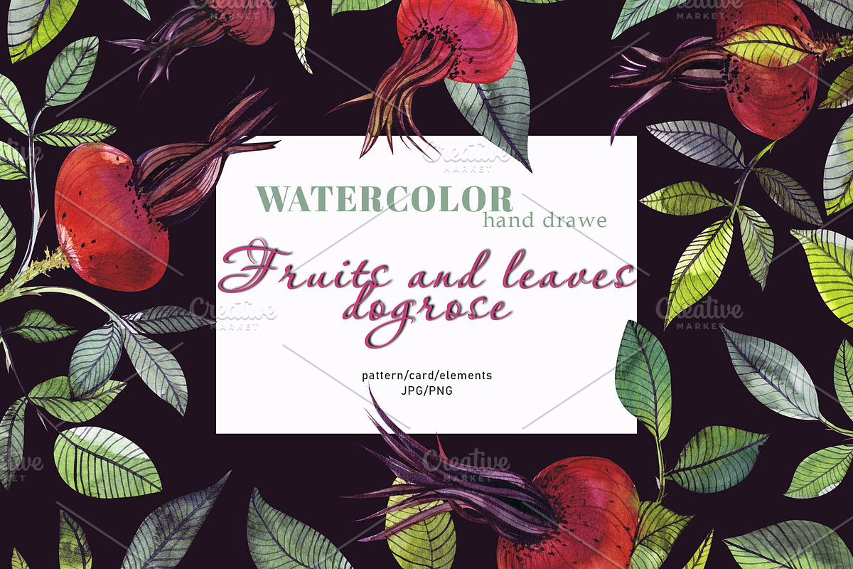 Fruits and leaves dogrose set & card, a Decorative Illustration by Art AleshkaK (Photo 1 of 3)