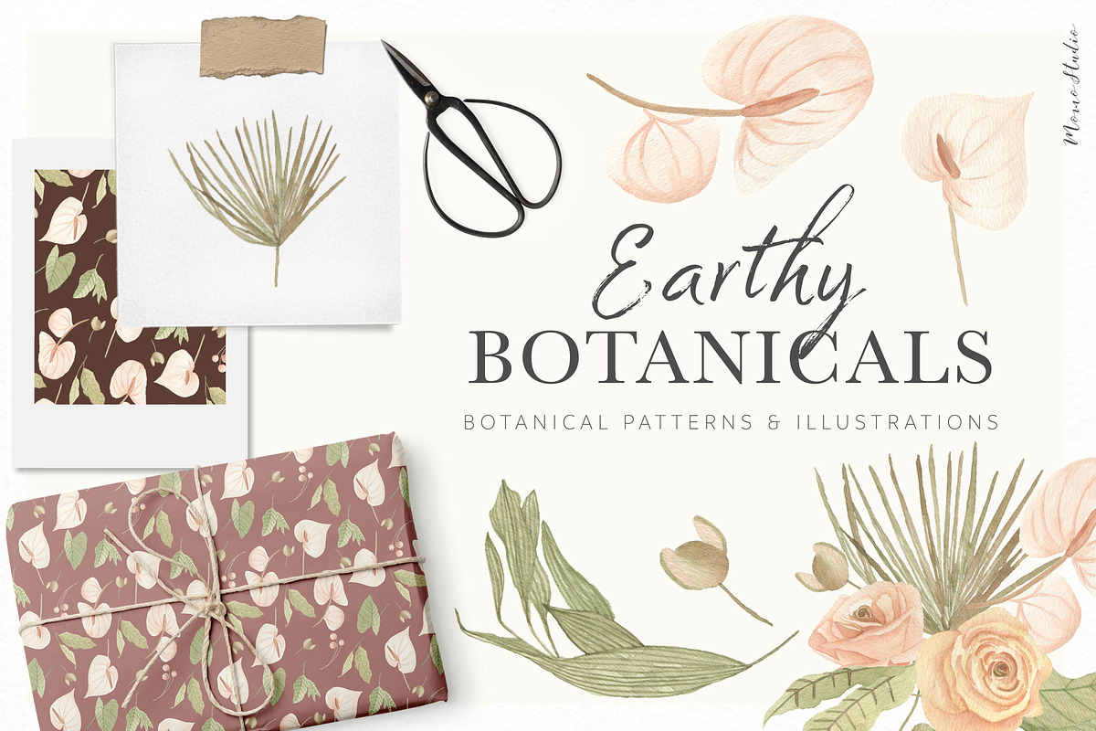 Earthy Botanicals Florals & Leaves, a Decorative Illustration by Momo Studio (Photo 1 of 12)