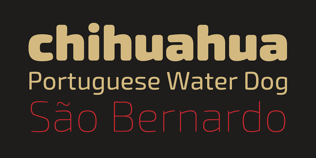 Exo Soft, a Sans Serif Font by Polimateria (Photo 10 of 10)