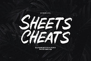 Sheets Cheats - Handwritten Brush, a Handwritten Font by tebaltipislab (Thumbnail 1 of 10)