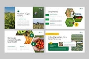 AGRIFARM - Agriculture Google Slides, a Presentation Template by rgbryand (Thumbnail 4 of 9)