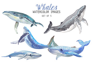 Watercolor Whales Clipart