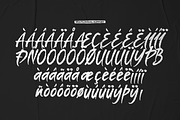 Amorim Santos Solid Hand Drawn Brush, a Handwritten Font by gracetype_studio (Thumbnail 12 of 12)