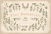 Tiny Botanicals | Wild Flowers Pack, an Illustration by GRPXSTORE (Thumbnail 1 of 7)