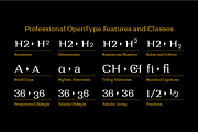 Bodrum Style, a Slab Serif Font by BULENT YUKSEL (Thumbnail 6 of 12)