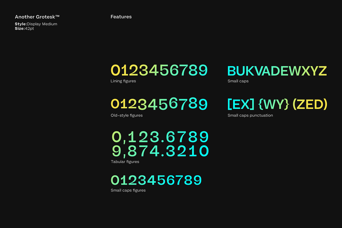 Another Grotesk Display Family, a Font by Bukva™ Type Foundry (Photo 11 of 15)