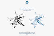 seashell clipart ocean sketch set, a Decorative Illustration by Patishop Art (Thumbnail 2 of 9)