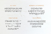 Gabriella - Modern Sans Serif, a Sans Serif Font by Bluestype Studio (Thumbnail 8 of 8)