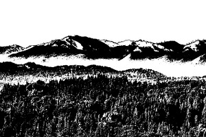 Isolate graphic of forest and mountain landscape, a Background Graphic by DanFLCreativo