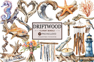 Driftwood & Coastal Decor Clipart, an Illustration by Pixels.Craft
