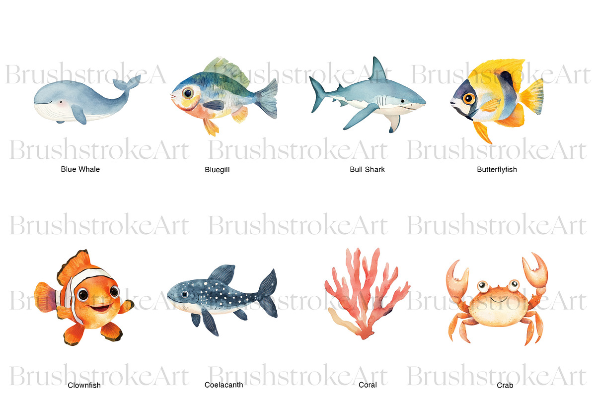 Sea Animals Clipart, Clown Fish PNG, an Animal Illustration by BrushstrokeArtGB (Photo 4 of 9)