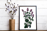 Vintage Pink Floral Boutique Clipart, a Seasonal Illustration by Patterns for Dessert (Thumbnail 5 of 5)