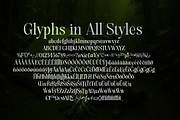 Evolve Early Serif Font Family, a Serif Font by groens (Thumbnail 7 of 15)