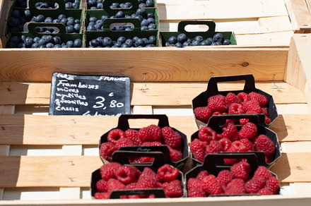 French Farmer's Market