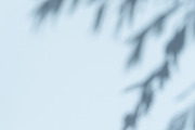 Light Blue Stock Photo Bundle, a Background Photo by Savvy Stock Shop (Thumbnail 8 of 11)