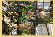 107 warm Autumn  Stock Photos, a Nature Photo by ElenazlataArt (Thumbnail 9 of 9)
