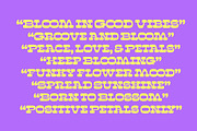 Sunny Groovy Retro Display Font, a Serif Font by timelesstype.co (Thumbnail 4 of 20)