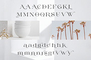 Milssky || Modern & Classy Ligature, a Serif Font by BrandSemut (Thumbnail 14 of 16)