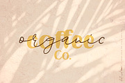 Destined Duo Brush Sans & Signature, a Script Font by Ayca Atalay (Thumbnail 2 of 13)