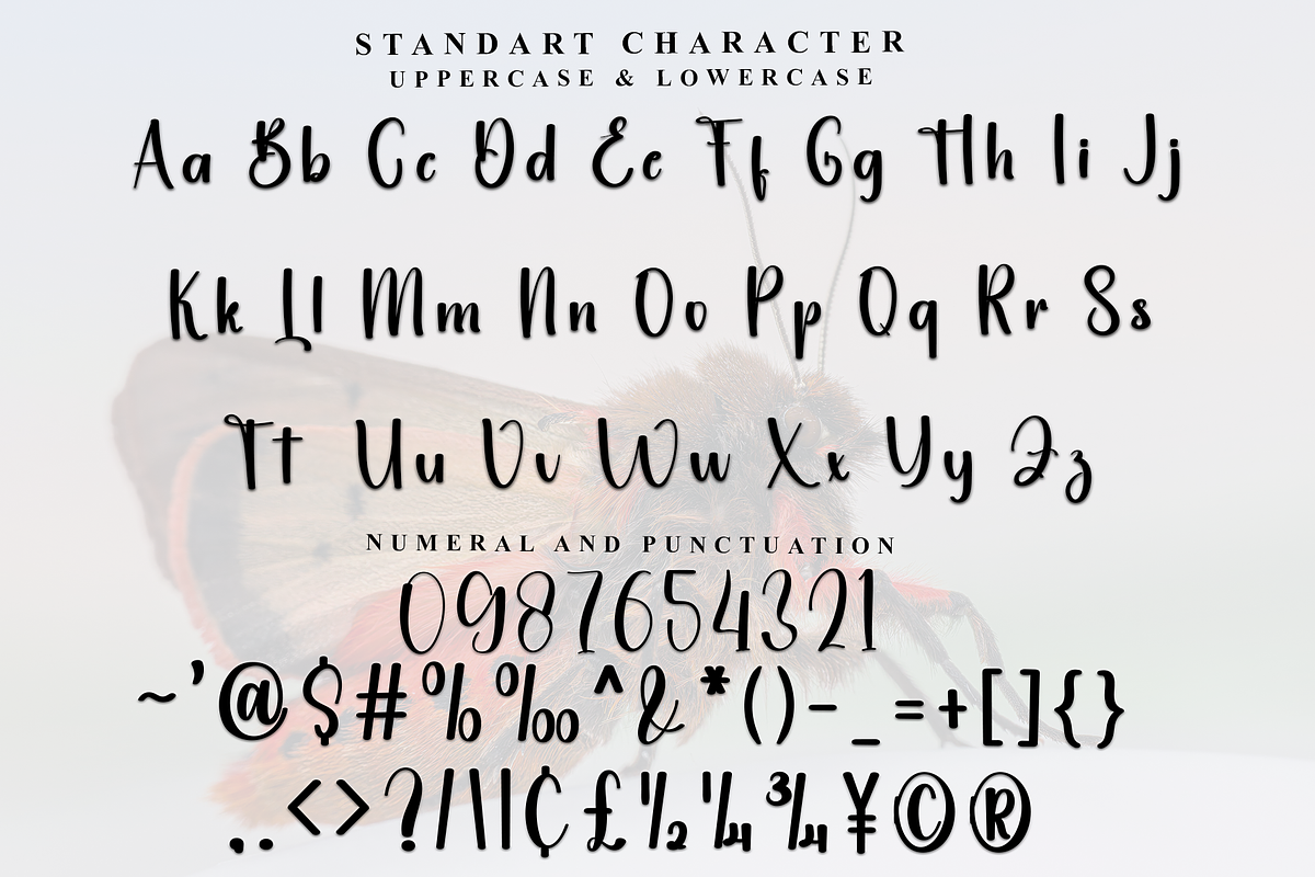 Religious, a Handwritten Font by InermediaSTUDIO (Photo 4 of 8)
