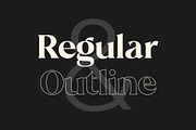 Stiepa | Modern Serif & Sans, a Serif Font by Dora Typefoundry (Thumbnail 17 of 28)