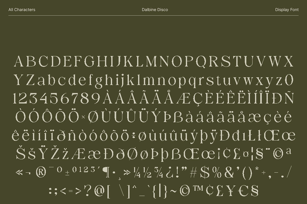 Dalbine Disco, a Serif Font by Craft Supply Co. (Photo 8 of 8)