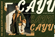 Cayu - Refined Modern Serif, a Serif Font by Astuti Studio (Thumbnail 19 of 23)
