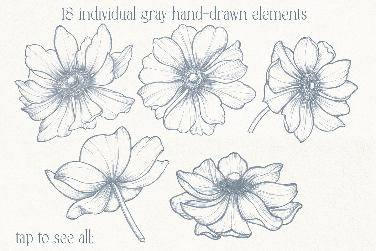 Anemones. Pencil and gold collection, a Decorative Illustration by DamriNa art (Photo 3 of 10)