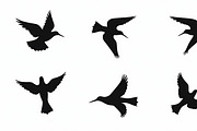 Flying Bird Silhouette Bundle, an Illustration by jahid234 (Thumbnail 8 of 10)