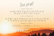 Tino Script, a Script Font by chekart (Thumbnail 5 of 5)