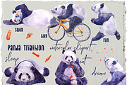 Triathlon Panda Watercolor Set, an Animal Illustration by Cat In Colour (Thumbnail 1 of 4)
