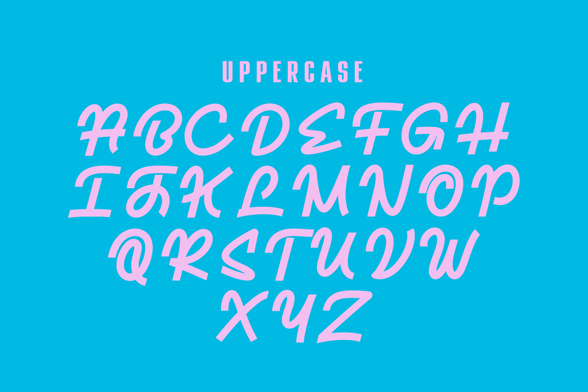 Nansi, a Script Font by ethylene.creative (Photo 3 of 9)