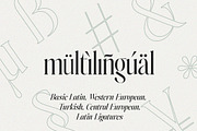 Johannes Keppler Family (18 Fonts), a Serif Font by Positive TypeFoundry (Thumbnail 14 of 15)