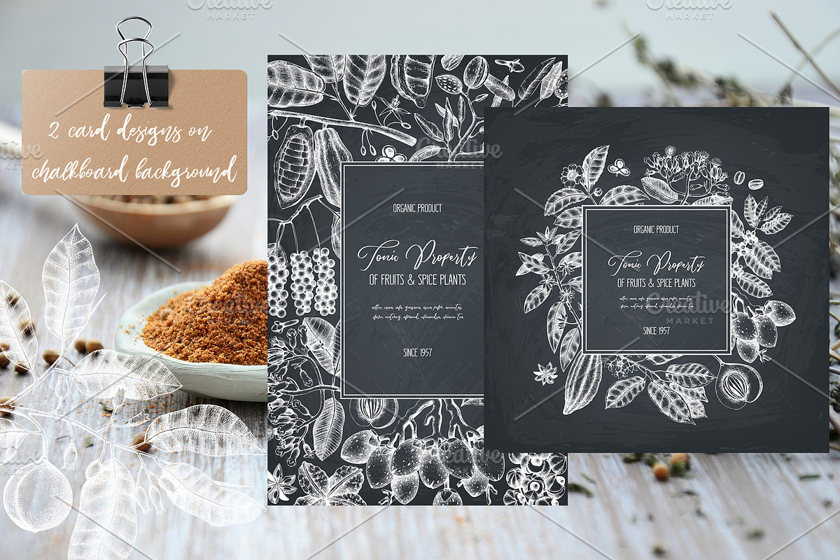 Exotic plant and fruit sketches set, a Food Illustration by Yevheniia (Photo 8 of 11)