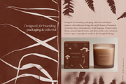 CYANOTYPE Botanical Backgrounds, a Background Graphic by Alisovna (Thumbnail 4 of 15)
