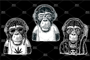 Monkeys In Headphones. Hipster With