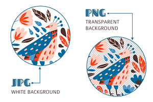 FOLK BIRDS Pattern & Illustration