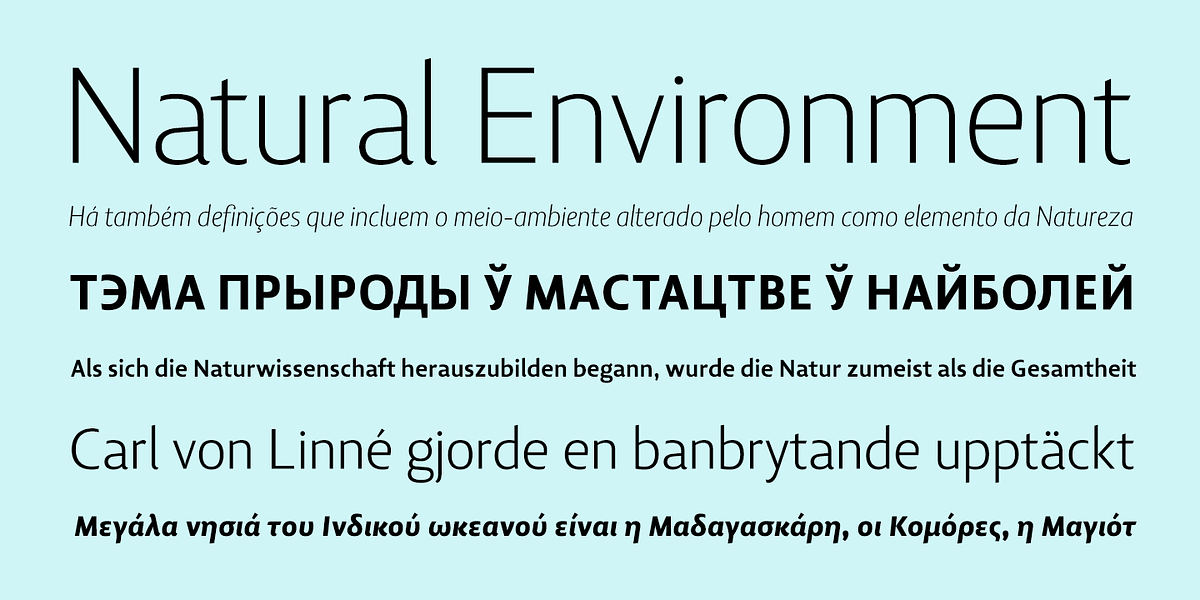 Lisboa Sans, a Sans Serif Font by Vanarchiv (Photo 3 of 4)