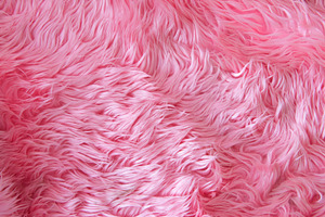 Close up pink fur texture or carpet stock photo containing carpet and soft, an Abstract Photo by Casanowe-studio