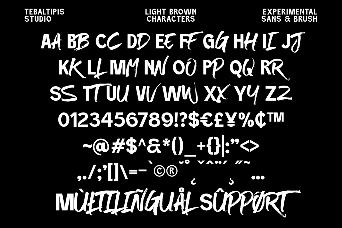 Light Brown - Experimental Display, a Sans Serif Font by tebaltipislab (Photo 11 of 13)