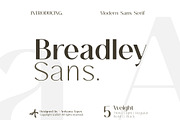 Breadley Sans - Modern Sans Serif, a Sans Serif Font by Ardyanatypes (Thumbnail 1 of 12)