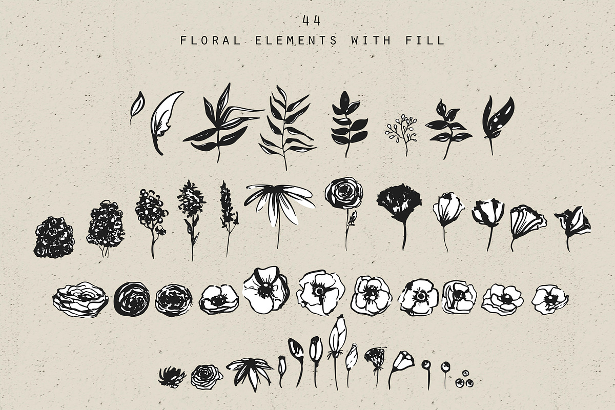 Ink floral collection. Floral ABC, an Illustration by Vera●Suleimanova (Photo 17 of 19)