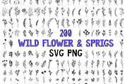200 Wildflowers Line Art Botanicals, an Illustration by LifestyleCraftCo (Thumbnail 1 of 6)
